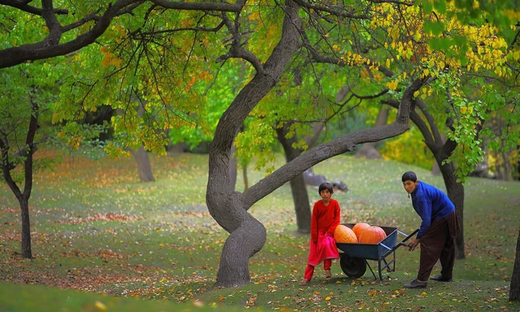 Best Hunza Tour Packages from Islamabad 2026